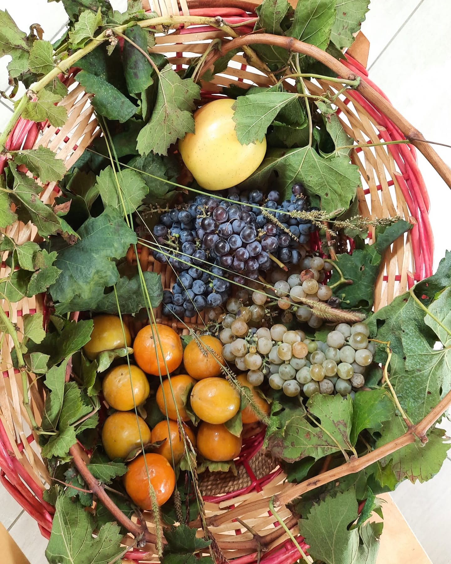 Un cesto di frutta di stagione